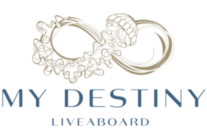 Logo MY Destiny
