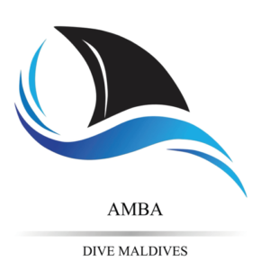 Logo Amba Malediven